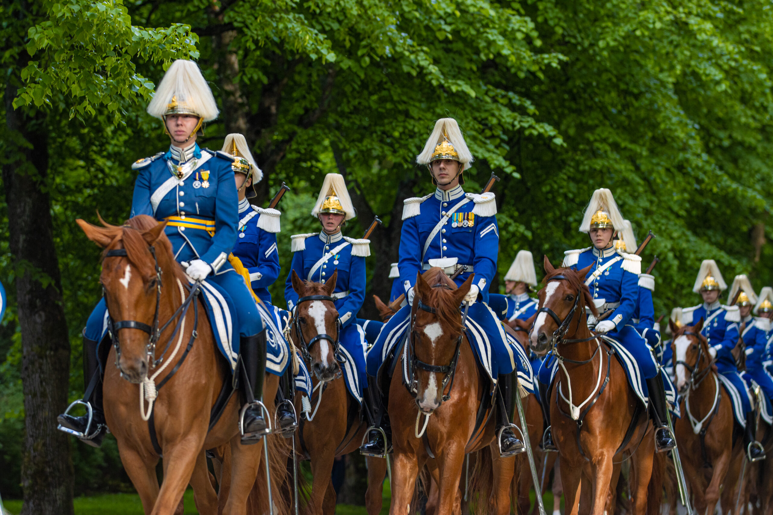 Nationaldagsfirande Beridna Högvakten Nationaldagsfirande Beridna Högvakten
